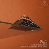 image:imageChakra Healing Crystal Pyramid Unique Birthday Gifts for Womens Mom Love One Black Tourmaline Orgonite Orgone Pyramid for Meditation Balance Positive Energy Success Office Desk DecorBlack Tourmaline Pyramid
