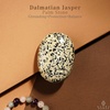 image:imageDalmatian Jasper Palm Stone Natural Healing Crystal Worry Stones for Chakra Balancing Positive Energy Meditation Reiki Healing Yoga Accessories Spiritual Gifts for Women and Mens