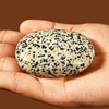 image:imageDalmatian Jasper Palm Stone Natural Healing Crystal Worry Stones for Chakra Balancing Positive Energy Meditation Reiki Healing Yoga Accessories Spiritual Gifts for Women and Mens