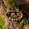 image:imageKARMAPLEDGE Healing Crystal Bracelets for Womens and Mens Spiritual Positive Energy amp Balance Handmade Natural Crystal Beads Bracelets106 Unakite One Stone