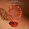 image:imageRose Quartz Crystal Tree of Life Birthday Gifts for Women Girls Friends Handmade Chakra Healing Crystals Tree for Home Office Decor Positivity Good Luck Money Unique Gifts for Her Mom SisterOrgone Base Carnelian Crystal Tree