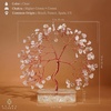 image:imageRose Quartz Crystal Tree of Life Birthday Gifts for Women Girls Friends Handmade Chakra Healing Crystals Tree for Home Office Decor Positivity Good Luck Money Unique Gifts for Her Mom SisterOrgone Square Base Clear Quartz Crystal Tree