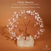 image:imageRose Quartz Crystal Tree of Life Birthday Gifts for Women Girls Friends Handmade Chakra Healing Crystals Tree for Home Office Decor Positivity Good Luck Money Unique Gifts for Her Mom SisterOrgone Square Base Clear Quartz Crystal Tree