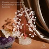 image:imageRose Quartz Crystal Tree of Life Birthday Gifts for Women Girls Friends Handmade Chakra Healing Crystals Tree for Home Office Decor Positivity Good Luck Money Unique Gifts for Her Mom SisterOrgone Base Clear Quartz Crystal Tree