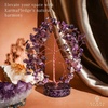 image:imageRose Quartz Crystal Tree of Life Birthday Gifts for Women Girls Friends Handmade Chakra Healing Crystals Tree for Home Office Decor Positivity Good Luck Money Unique Gifts for Her Mom SisterOrgone Base Amethyst Crystal Tree