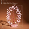 image:imageRose Quartz Crystal Tree of Life Birthday Gifts for Women Girls Friends Handmade Chakra Healing Crystals Tree for Home Office Decor Positivity Good Luck Money Unique Gifts for Her Mom SisterOrgone Base Rose Quartz Crystal Tree