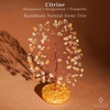 image:imageRose Quartz Crystal Tree of Life Birthday Gifts for Women Girls Friends Handmade Chakra Healing Crystals Tree for Home Office Decor Positivity Good Luck Money Unique Gifts for Her Mom SisterOrgone Base Citrine Crystal Tree