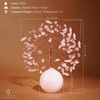 image:imageRose Quartz Crystal Tree of Life Birthday Gifts for Women Girls Friends Handmade Chakra Healing Crystals Tree for Home Office Decor Positivity Good Luck Money Unique Gifts for Her Mom SisterBall Base Rose Quartz Crystal Tree