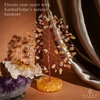 image:imageRose Quartz Crystal Tree of Life Birthday Gifts for Women Girls Friends Handmade Chakra Healing Crystals Tree for Home Office Decor Positivity Good Luck Money Unique Gifts for Her Mom SisterOrgone Base Citrine Crystal Tree