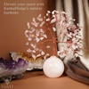 image:imageRose Quartz Crystal Tree of Life Birthday Gifts for Women Girls Friends Handmade Chakra Healing Crystals Tree for Home Office Decor Positivity Good Luck Money Unique Gifts for Her Mom SisterBall Base Rose Quartz Crystal Tree