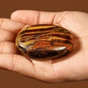 image:imageTiger Eye Palm Stone Natural Healing Crystal Worry Stones for Chakra Balancing Positive Energy Meditation Reiki Healing Yoga Accessories Spiritual Gifts for Women and Mens