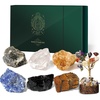 image:imageKARMAPLEDGE Sagittarius Zodiac Sign Healing Stone Set with 7 Chakra Tree of Life  Horoscope Birthstone Crystal Box Set  Astrology Crystal Healing Horoscope Birthday Gift SetSagittarius
