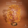 image:imageKARMAPLEDGE 7 Chakra Tree of Life Birthday Gifts for Women Home and Office Decor Handmade Crystal Chakra Tree for Money Positivity Reiki Healing Spiritual Good Luck Gifts for Mom amp Dad12 Citrine Crystal Tree 300 Beads
