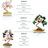 image:imageKARMAPLEDGE 7 Chakra Tree of Life Birthday Gifts for Women Home and Office Decor Handmade Crystal Chakra Tree for Money Positivity Reiki Healing Spiritual Good Luck Gifts for Mom amp Dad3 Set of 6 Mini Crystal Trees
