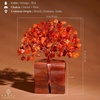 image:imageKARMAPLEDGE 7 Chakra Tree of Life Birthday Gifts for Women Home and Office Decor Handmade Crystal Chakra Tree for Money Positivity Reiki Healing Spiritual Good Luck Gifts for Mom amp Dad53 Carnelian Crystal Base