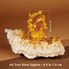 image:imageKARMAPLEDGE 7 Chakra Tree of Life Birthday Gifts for Women Home and Office Decor Handmade Crystal Chakra Tree for Money Positivity Reiki Healing Spiritual Good Luck Gifts for Mom amp DadTree Set of 12 Orgone Base Base