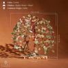 image:imageKARMAPLEDGE 7 Chakra Tree of Life Birthday Gifts for Women Home and Office Decor Handmade Crystal Chakra Tree for Money Positivity Reiki Healing Spiritual Good Luck Gifts for Mom amp Dad11 Green Aventurine Khajuri Tree 200 Beads