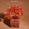 image:imageKARMAPLEDGE 7 Chakra Tree of Life Birthday Gifts for Women Home and Office Decor Handmade Crystal Chakra Tree for Money Positivity Reiki Healing Spiritual Good Luck Gifts for Mom amp Dad53 Carnelian Crystal Base