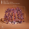 image:imageKARMAPLEDGE 7 Chakra Tree of Life Birthday Gifts for Women Home and Office Decor Handmade Crystal Chakra Tree for Money Positivity Reiki Healing Spiritual Good Luck Gifts for Mom amp Dad11 Amethyst Khajuri Tree 200 Beads