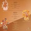 image:imageKARMAPLEDGE 7 Chakra Tree of Life Birthday Gifts for Women Home and Office Decor Handmade Crystal Chakra Tree for Money Positivity Reiki Healing Spiritual Good Luck Gifts for Mom amp DadTree Set of 12 Orgone Base Base