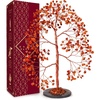 14 Carnelian Slice Base 300 Beads