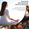 image:imageChakra Healing Crystal Kit Set of 24 Pieces with High Quality Raw Stones Lava Rock Bracelet Tree of Life Pendant amp Selenite Stick Spiritual Gift for Positive Energy amp Health by KarmaPledge
