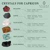 image:imageKARMAPLEDGE Capricon Zodiac Sign Healing Stone Set with 7 Chakra Tree of Life  Horoscope Birthstone Crystal Box  Astrology Crystal Healing Horoscope Birthday Gift