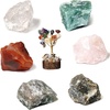 image:imageKARMAPLEDGE Cancer Zodiac Sign Healing Stone Set with 7 Chakra Tree of Life  Horoscope Birthstone Crystal Box  Astrology Crystal Healing Horoscope Birthday Gift