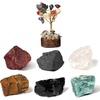 image:imageKARMAPLEDGE Capricon Zodiac Sign Healing Stone Set with 7 Chakra Tree of Life  Horoscope Birthstone Crystal Box  Astrology Crystal Healing Horoscope Birthday Gift